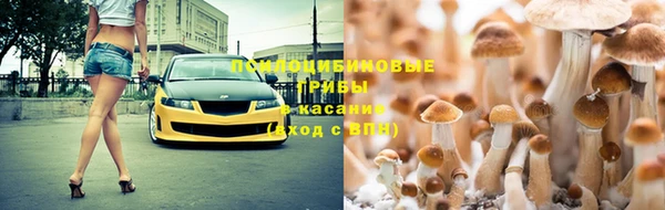 соль ск Майский