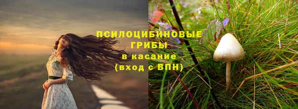 соль ск Майский