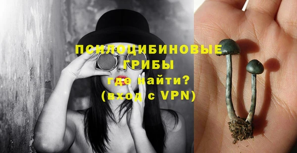 тгк Магадан
