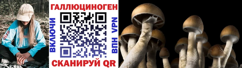 Псилоцибиновые грибы MAGIC MUSHROOMS  Морозовск 