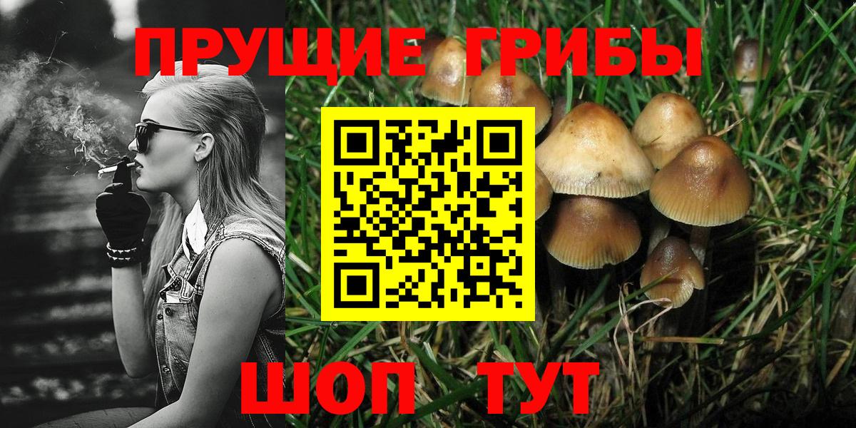 Галлюциногенные грибы прущие грибы Морозовск