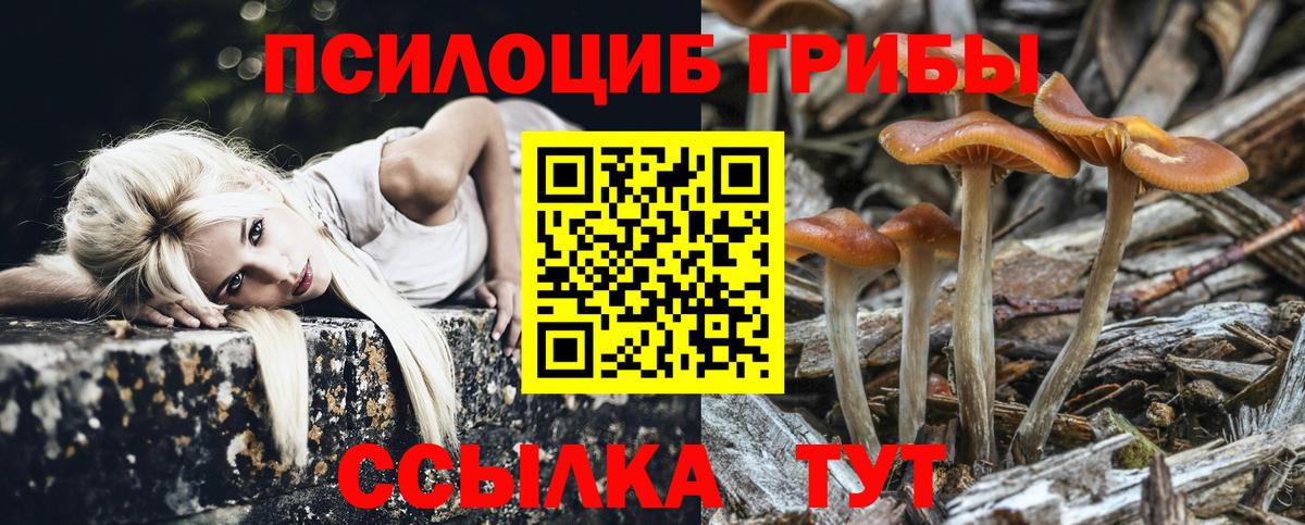 Гашиш  ЭКСТАЗИ  НБОМе  МЕФ кристаллы  Морозовск  КЕТАМИН  Метамфетамин  МАРИХУАНА  Вход с VPN 